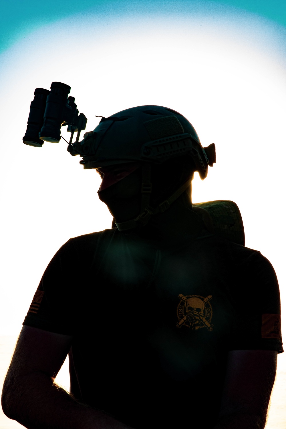 Mine Hunting in the Arabian Gulf
