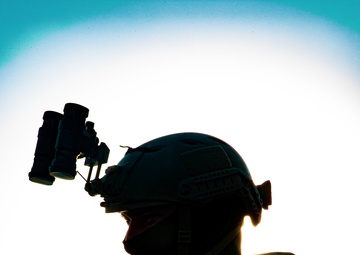 Mine Hunting in the Arabian Gulf