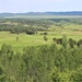 Training Areas at Fort McCoy