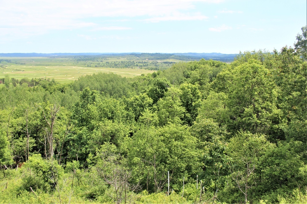 Training Areas at Fort McCoy