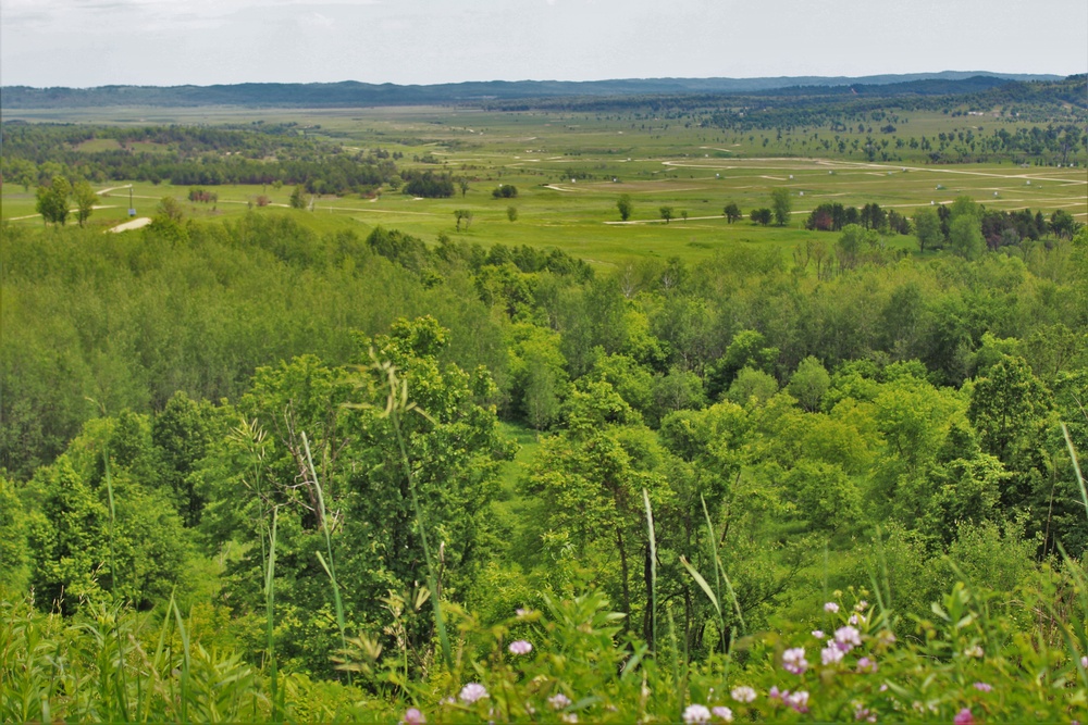 Training Areas at Fort McCoy