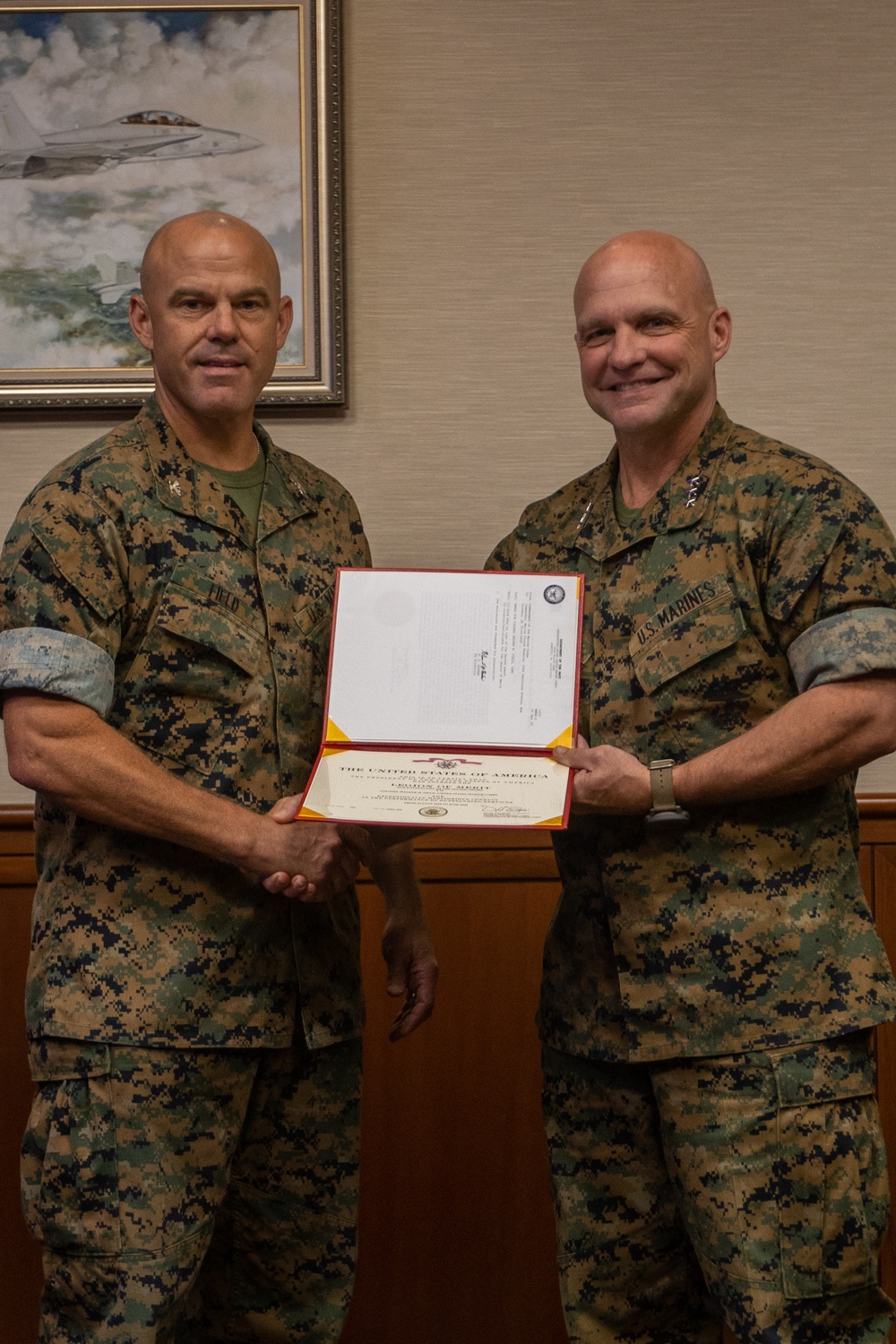 Col. Field receives LoM Award