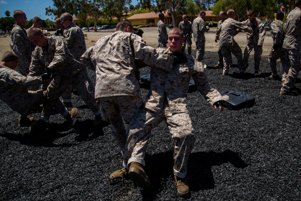 Golf Company Combat Conditioning Course
