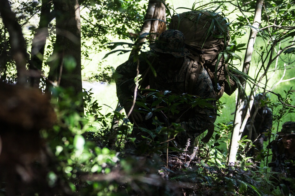 Welcome to the jungle: Marines with BLT 2/4 patrol through the jungle