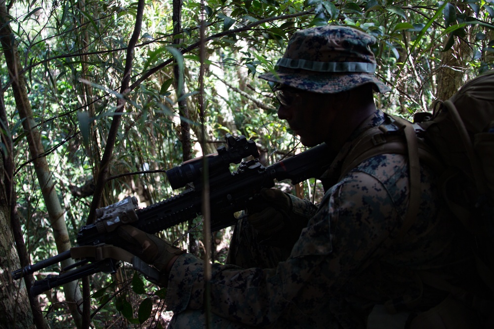 Welcome to the jungle: Marines with BLT 2/4 patrol through the jungle