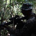 Welcome to the jungle: Marines with BLT 2/4 patrol through the jungle