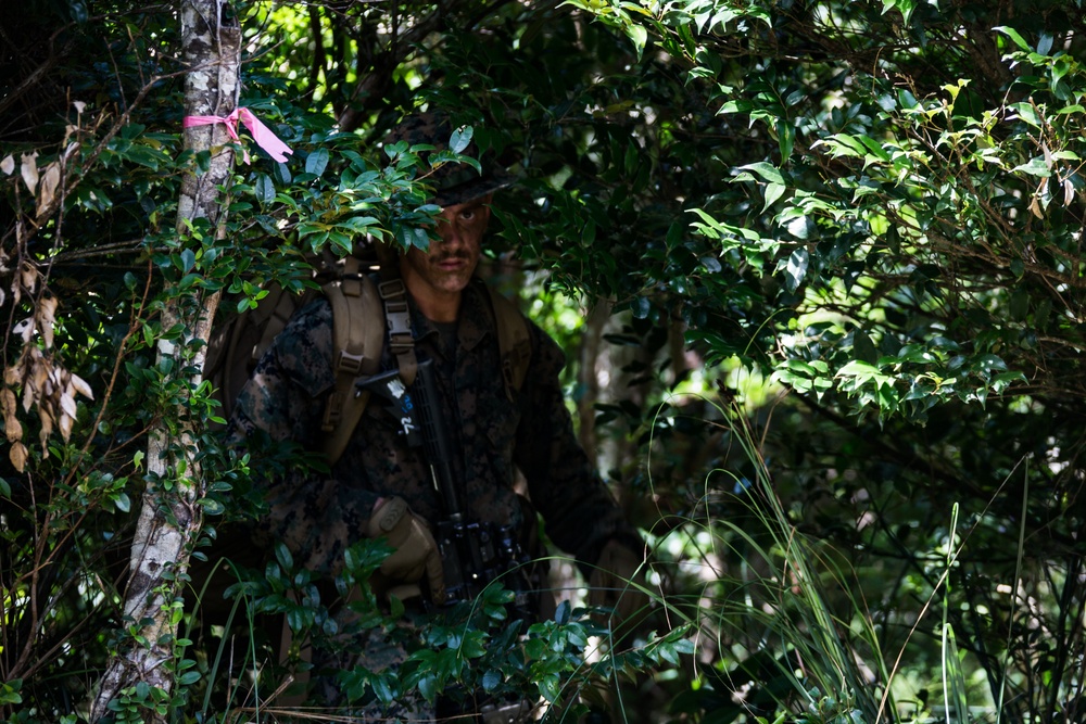 Welcome to the jungle: Marines with BLT 2/4 patrol through the jungle