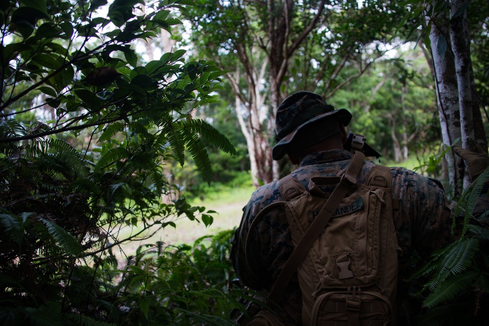 Welcome to the jungle: Marines with BLT 2/4 patrol through the jungle