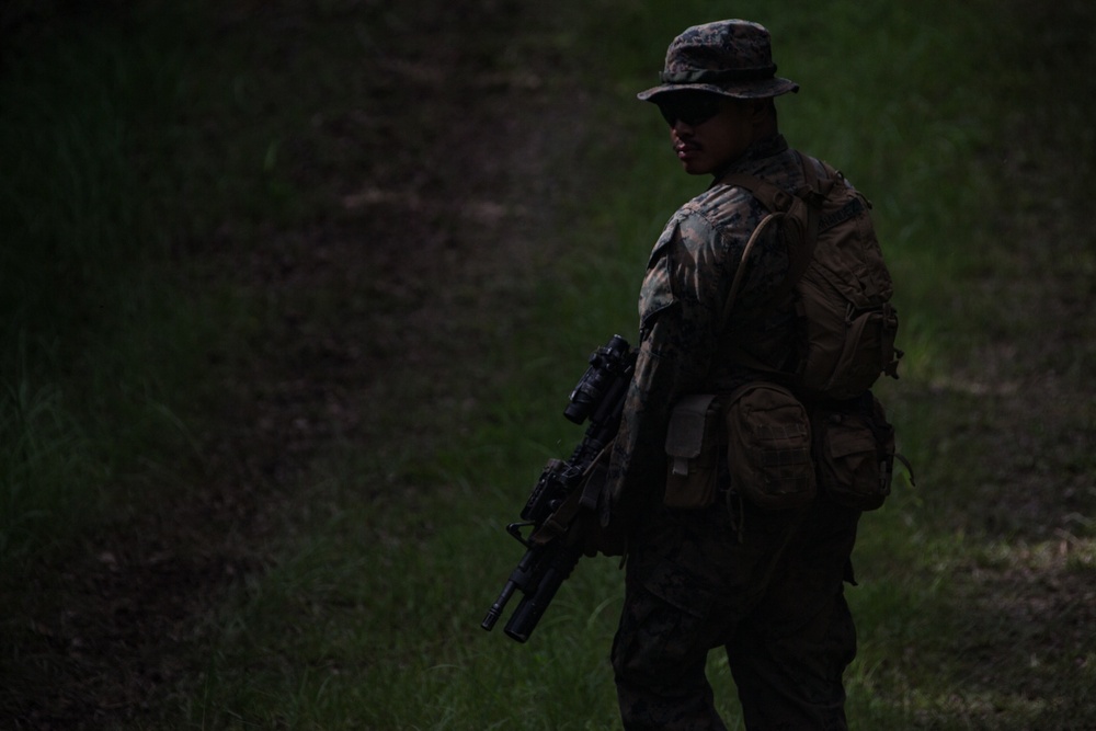 Welcome to the jungle: Marines with BLT 2/4 patrol through the jungle