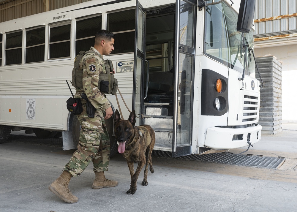 Military Working Dogs, Handlers stick together