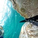 AUTEC personnel save green sea turtle entangled by rope, nets