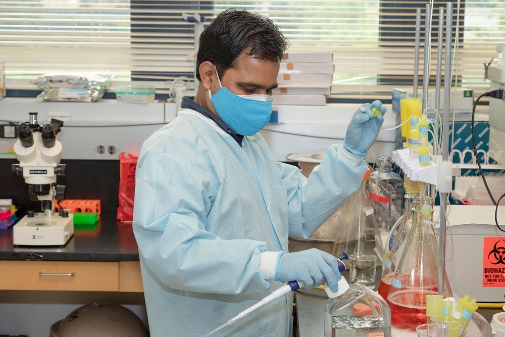 Scientists with the Emerging Infectious Disease branch at the Walter Reed Army Institute of Research conducts studies in order to find a solution for the COVID-19 Coronavirus.