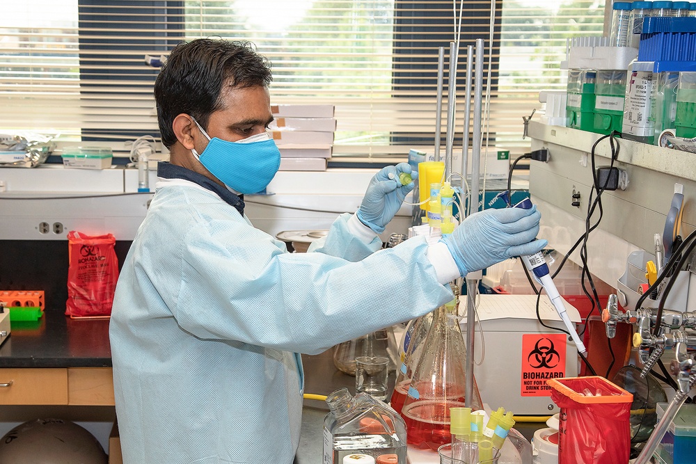 Scientists with the Emerging Infectious Disease branch at the Walter Reed Army Institute of Research conducts studies in order to find a solution for the COVID-19 Coronavirus.