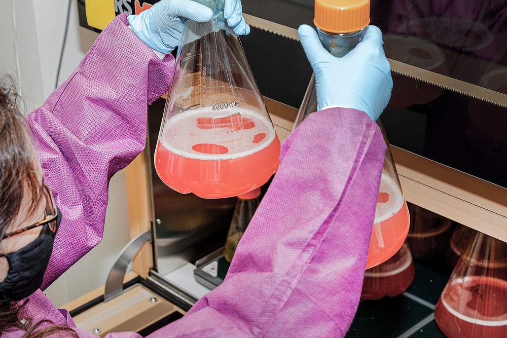 Scientists with the Emerging Infectious Disease branch at the Walter Reed Army Institute of Research conducts studies in order to find a solution for the COVID-19 Coronavirus.