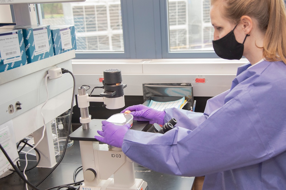 Scientists with the Emerging Infectious Disease branch at the Walter Reed Army Institute of Research conducts studies in order to find a solution for the COVID-19 Coronavirus.