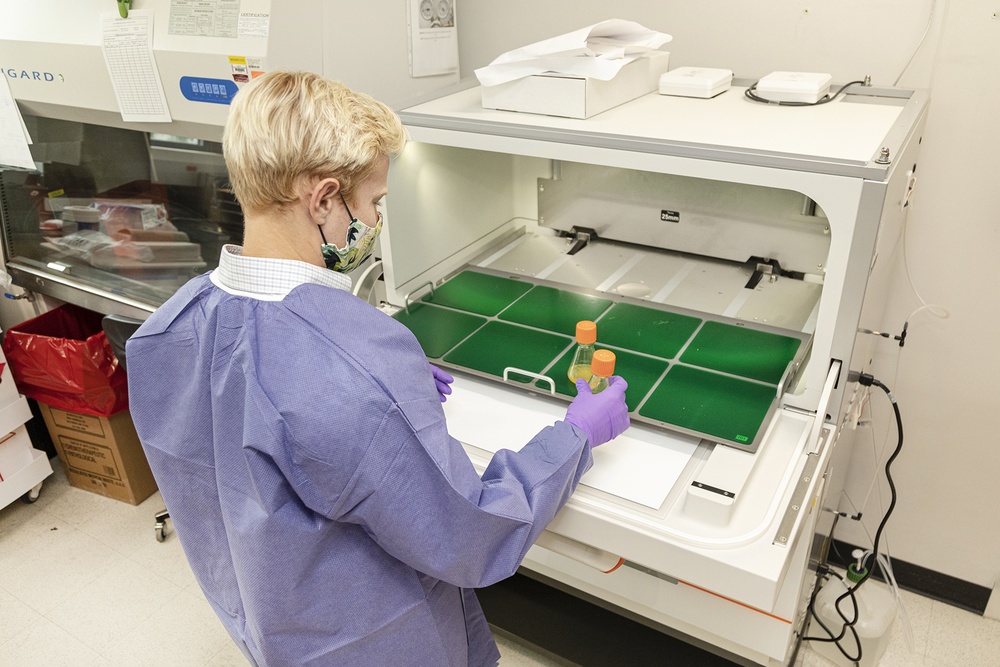 Scientists with the Emerging Infectious Disease branch at the Walter Reed Army Institute of Research conducts studies in order to find a solution for the COVID-19 Coronavirus.