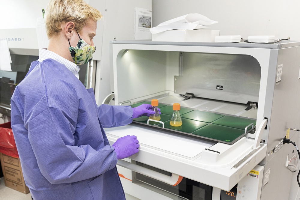Scientists with the Emerging Infectious Disease branch at the Walter Reed Army Institute of Research conducts studies in order to find a solution for the COVID-19 Coronavirus.