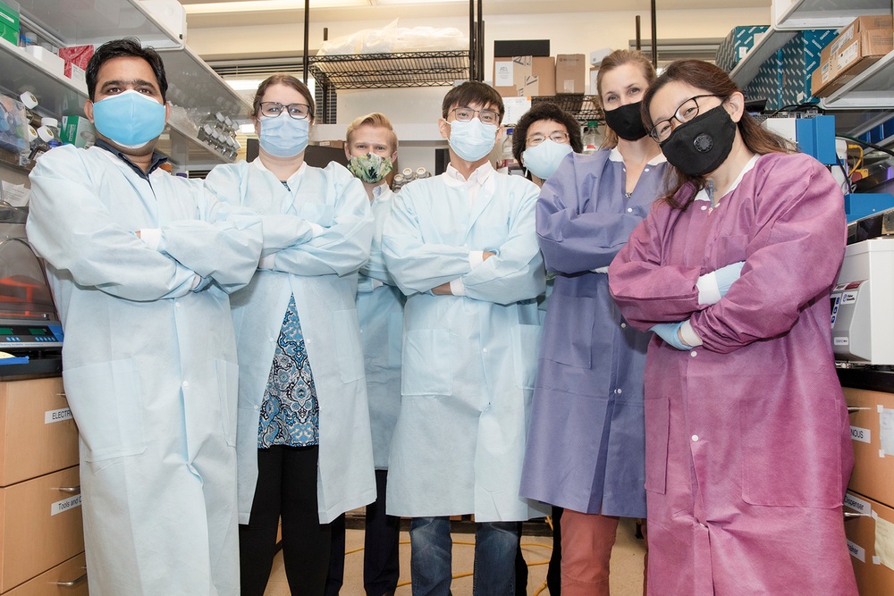 Scientists with the Emerging Infectious Disease branch at the Walter Reed Army Institute of Research conducts studies in order to find a solution for the COVID-19 Coronavirus.