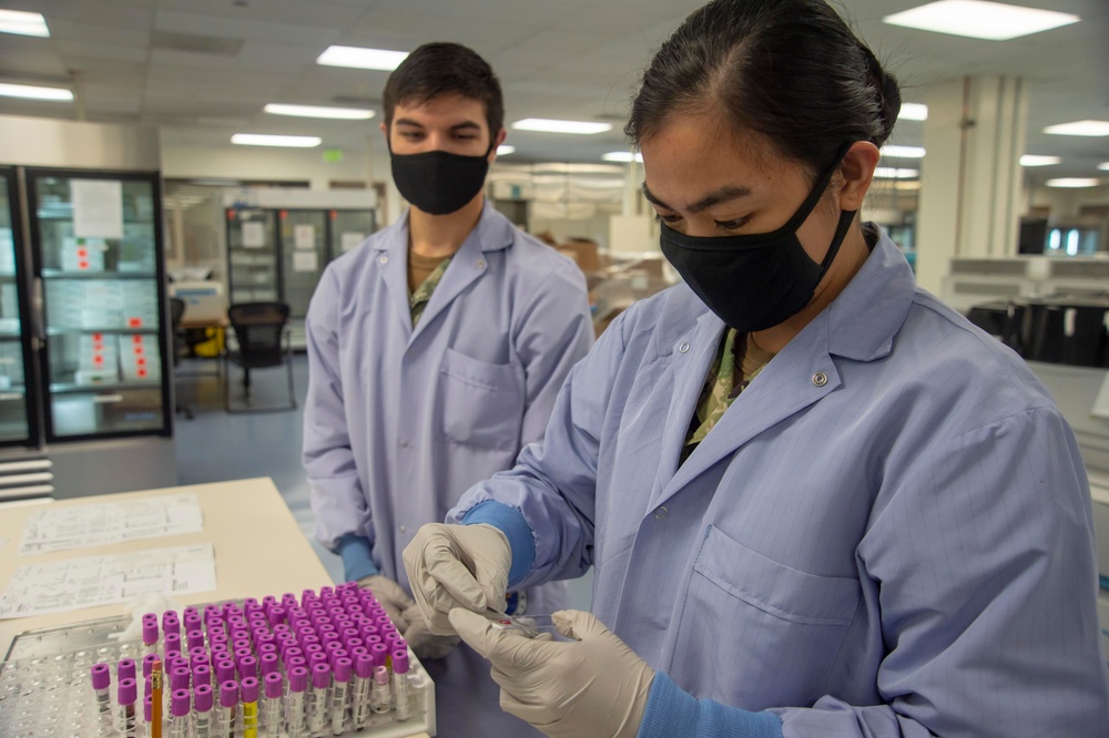 Lab Tech Prepares Blood Slides