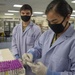 Lab Tech Prepares Blood Slides