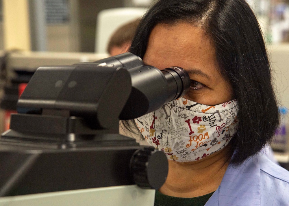 Clinical Lab Scientist Conducts Sperm Count