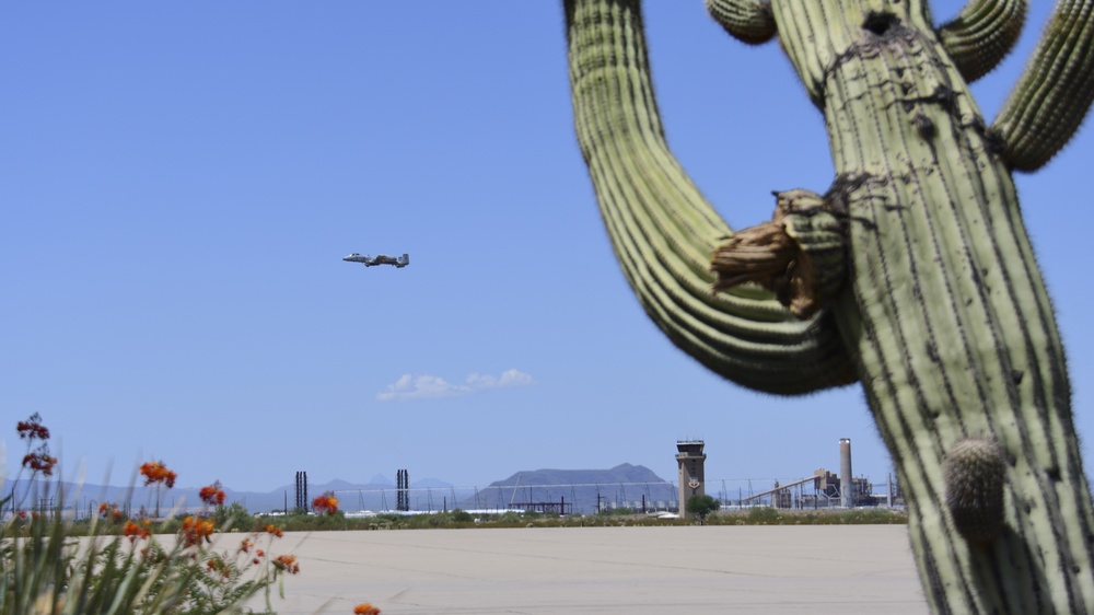 Flight line Friday at DM: Cactus Edition