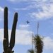 Flight line Friday at DM: Cactus Edition