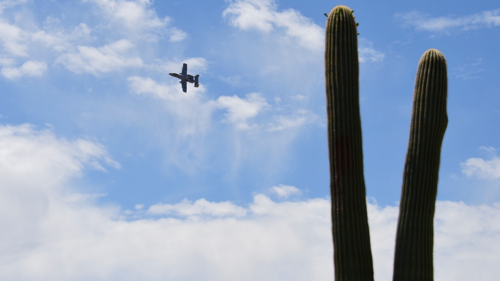 Flight line Friday at DM: Cactus Edition