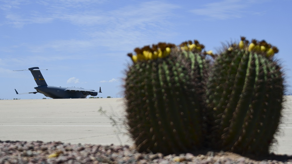 Flight line Friday at DM: Cactus Edition
