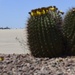 Flight line Friday at DM: Cactus Edition