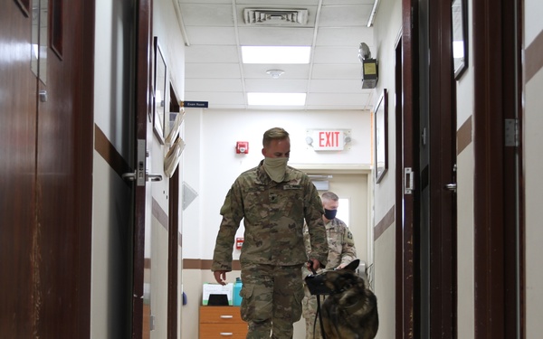 Virtual Veterinary Services