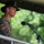eFP Battle Group Poland holds change of command ceremony