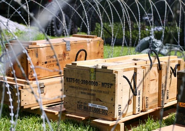Boom Goes The Dynamite | 9th Engineer Support Battalion conducts demolition range