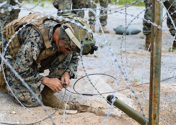 Boom Goes The Dynamite | 9th Engineer Support Battalion conducts demolition range