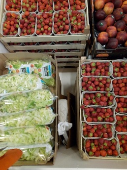 DLA expands food support to North Atlantic during NATO exercise