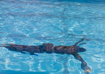 3rd Force Recon Swim Qualifications