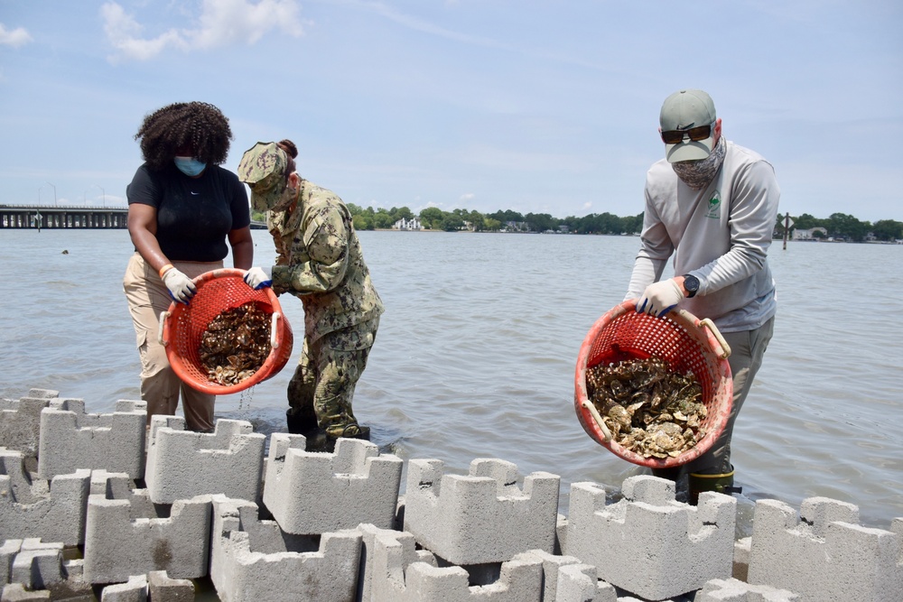 Naval Support Activity Hampton Roads installs oyster castles to help protect shoreline