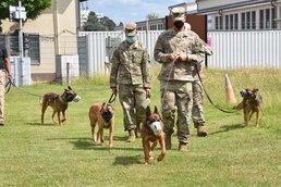 Soldiers learn to read their dogs