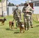 Soldiers learn to read their dogs