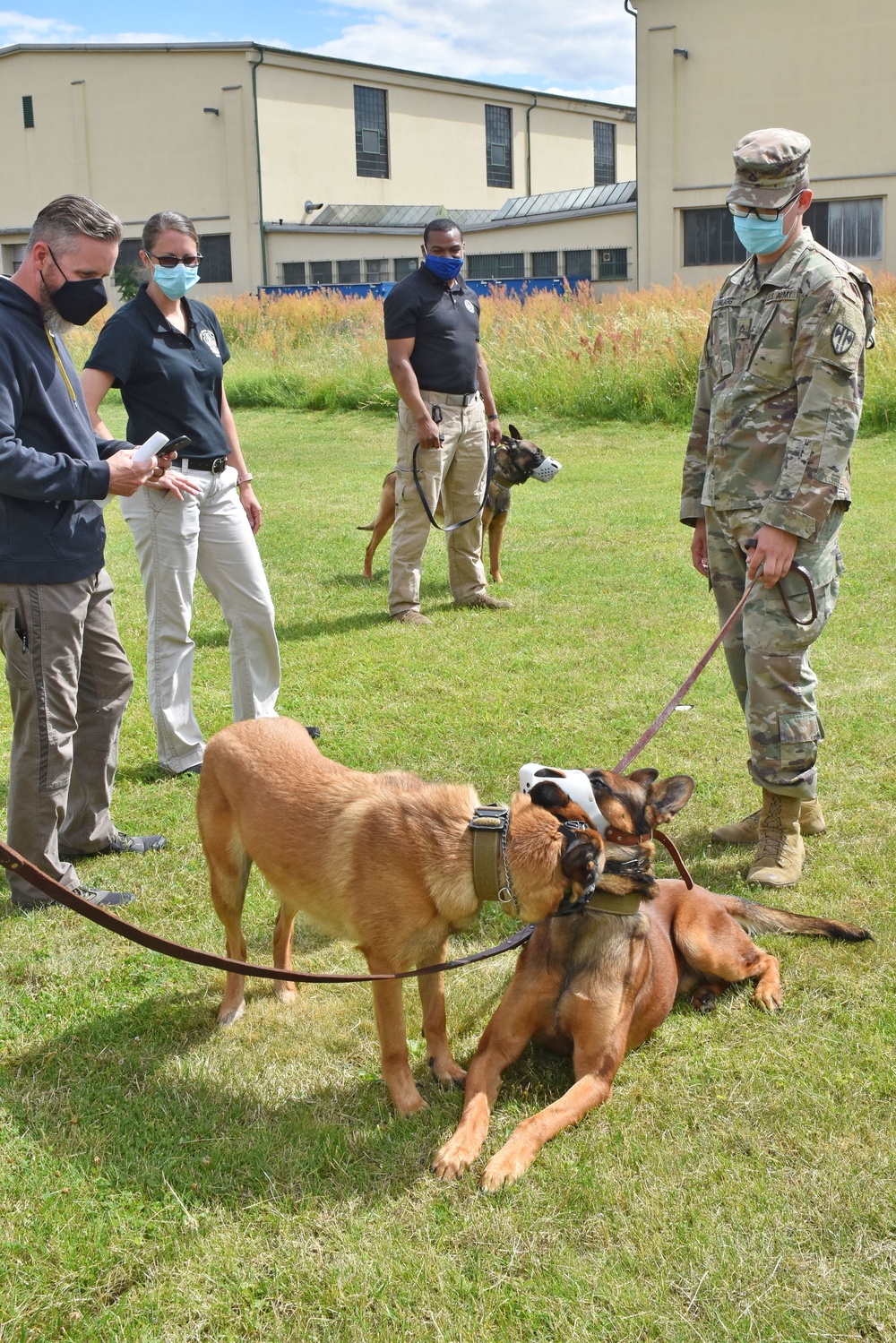 Soldiers learn to read their dogs