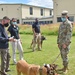 Soldiers learn to read their dogs