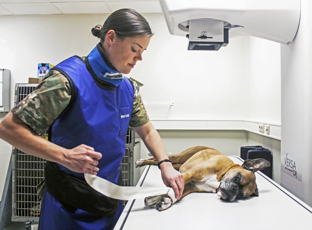 Pet registration at VTF mandatory