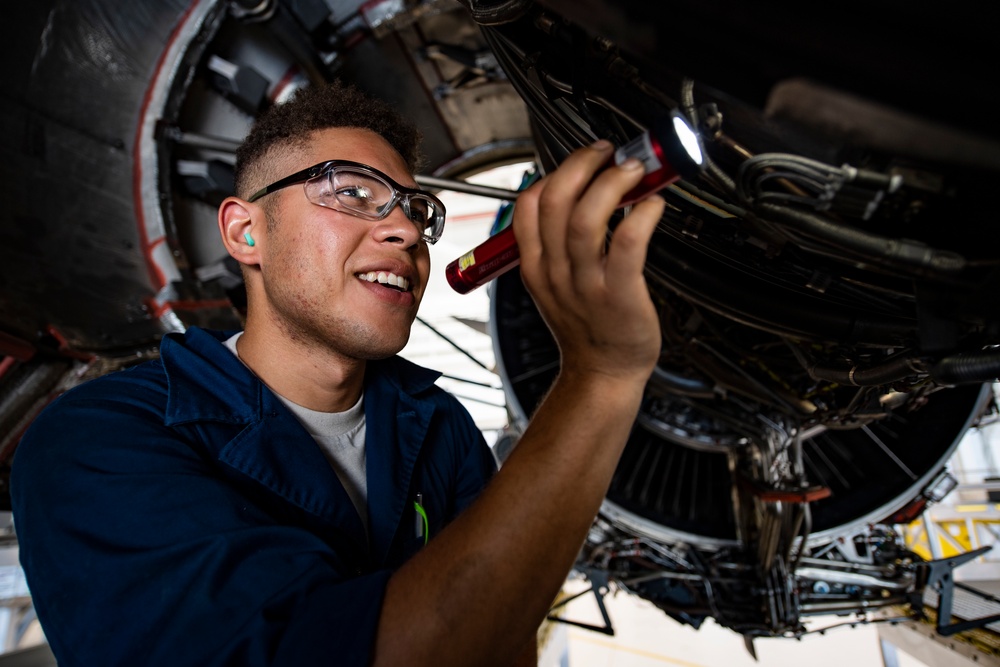 Engine inspection