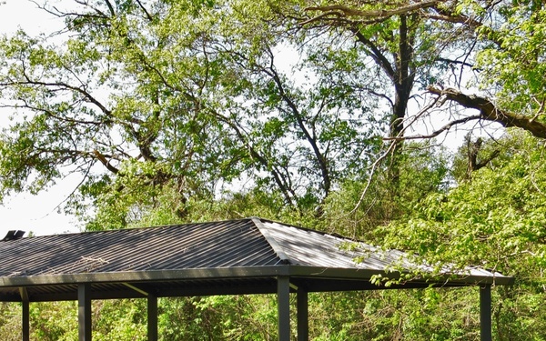 National Picnic Month: McCoy’s outdoor spaces on South Post offer opportunities