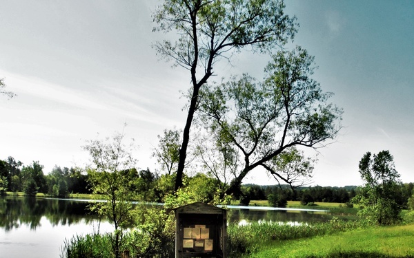 National Picnic Month: McCoy’s outdoor spaces on South Post offer opportunities