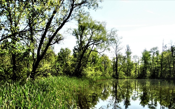 National Picnic Month: McCoy’s outdoor spaces on South Post offer opportunities