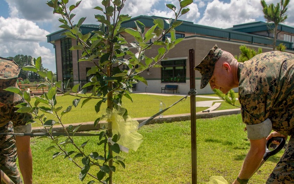 Apple tree planted in remembrance of DeLalio Elementary School’s namesake