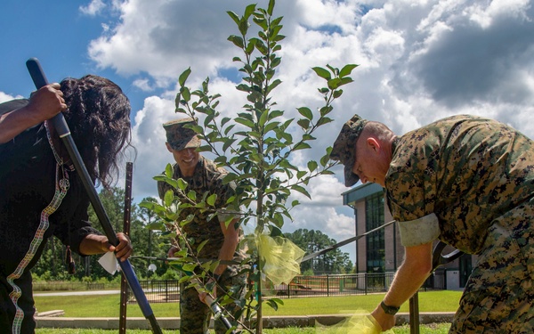 Apple tree planted in remembrance of DeLalio Elementary School’s namesake