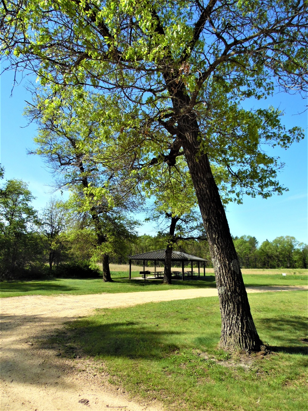 Fort McCoy's Swamp Pond Fishing and Recreation Area