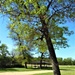 Fort McCoy's Swamp Pond Fishing and Recreation Area